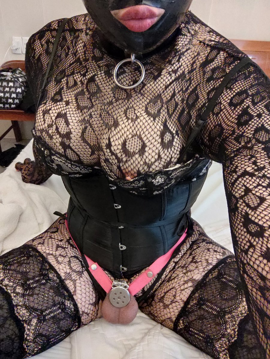 Sissy 🐰🏳️‍⚧️ tweet media