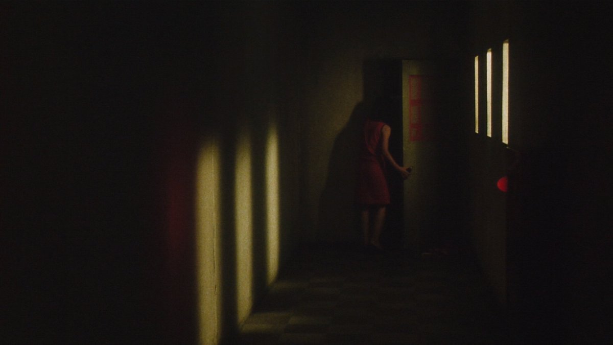 𝐂𝐢𝐧𝐞𝐦𝐚 𝐨𝐟 𝐭𝐡𝐞 𝐔𝐧𝐬𝐞𝐭𝐭𝐥𝐢𝐧𝐠 tweet media