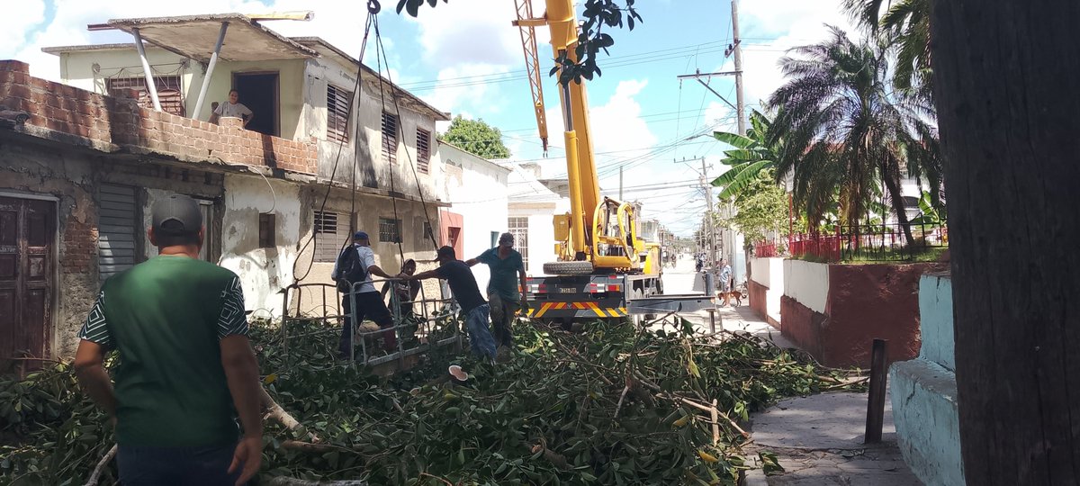 Odalis Batista tweet media