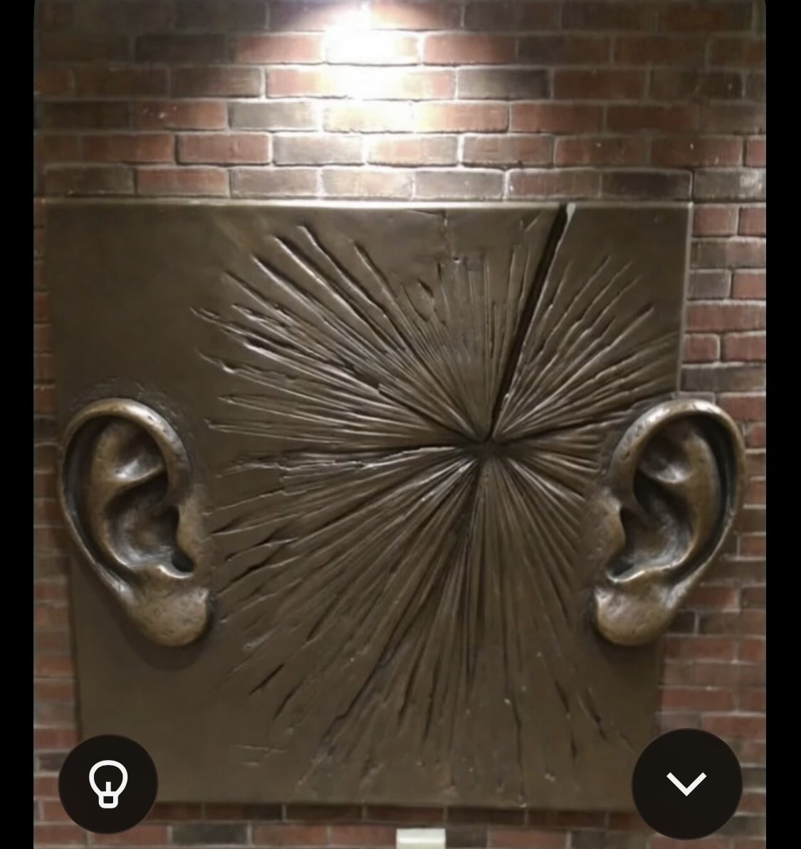 Wick€d 🦂 tweet media