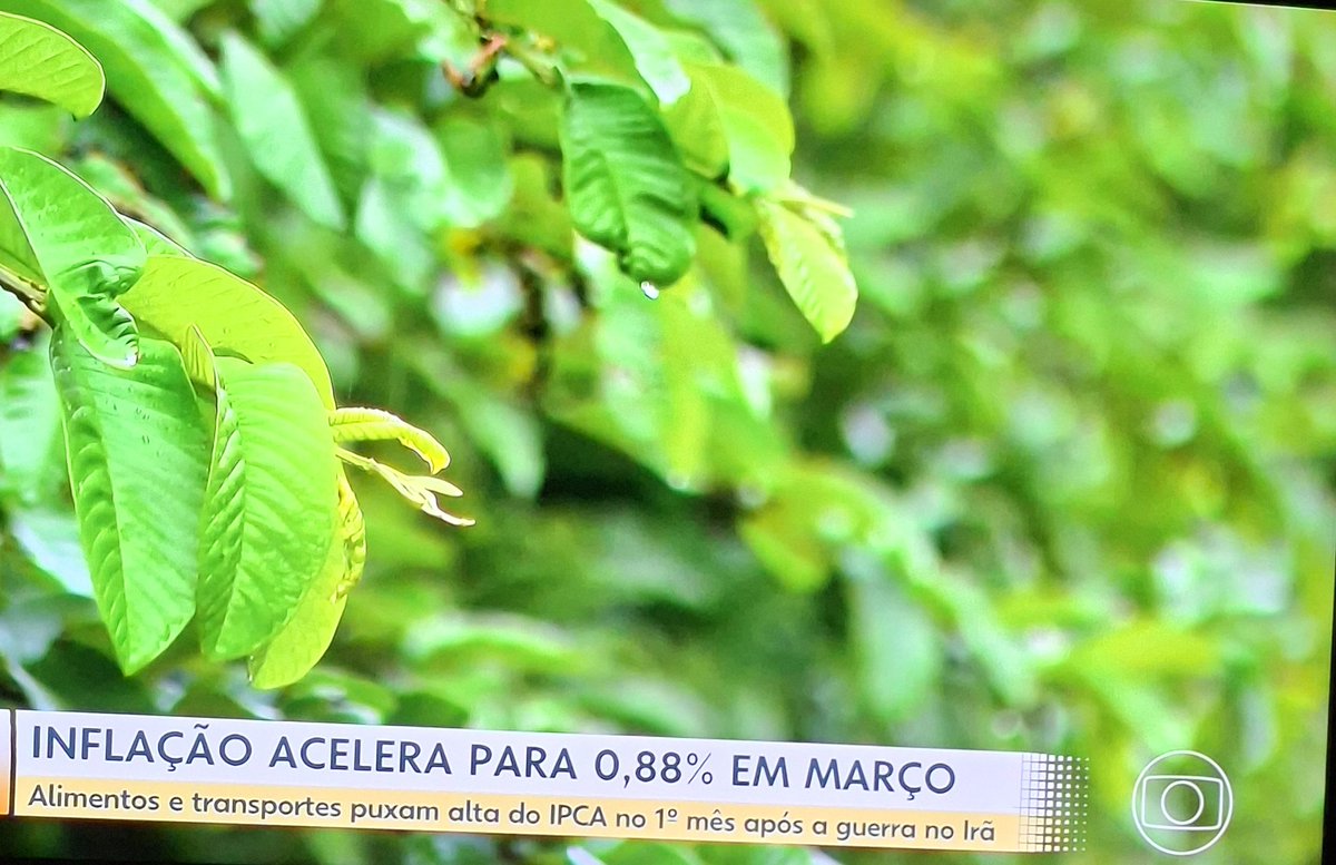 #JornalHJ 
#JornalHoje
#TvGlobo
Já está podendo fazer propaganda eleitoral?!??🤔😏
<a href="/ptbrasil/">PT Brasil</a>
<a href="/Haddad_Fernando/">Fernando Haddad</a>