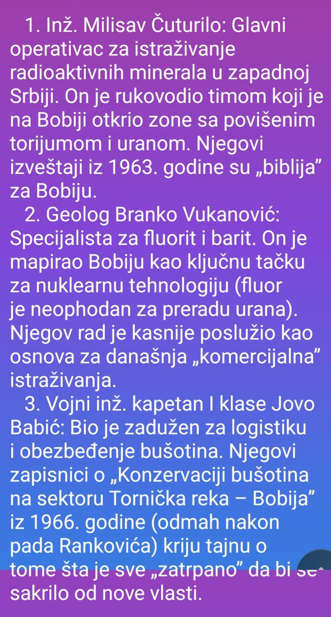 Danijela Rankovic tweet media