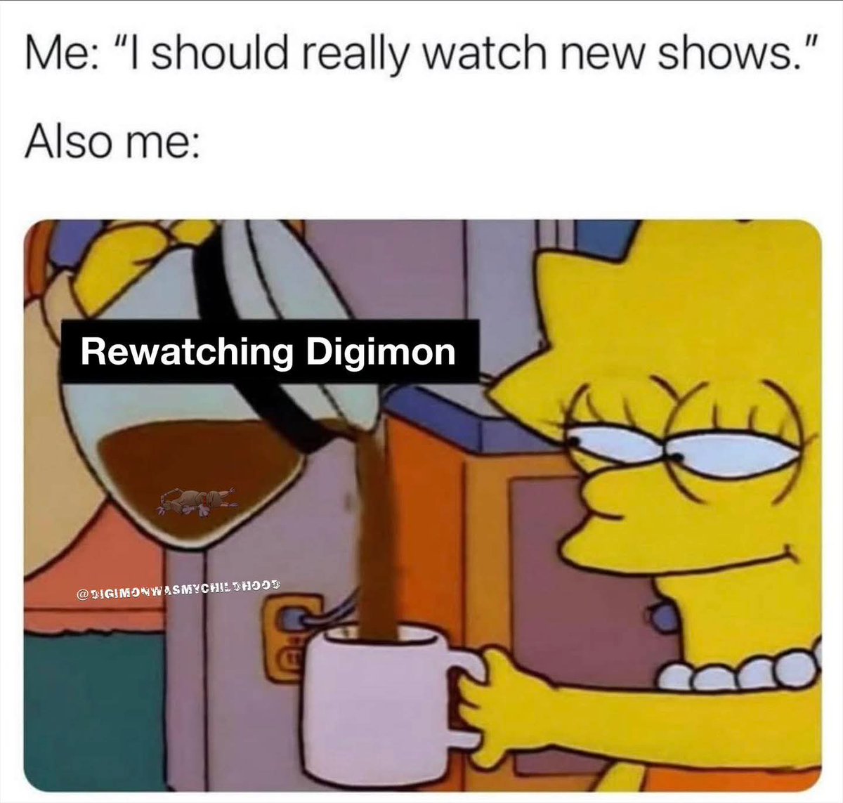 I will rewatch digimon everytime