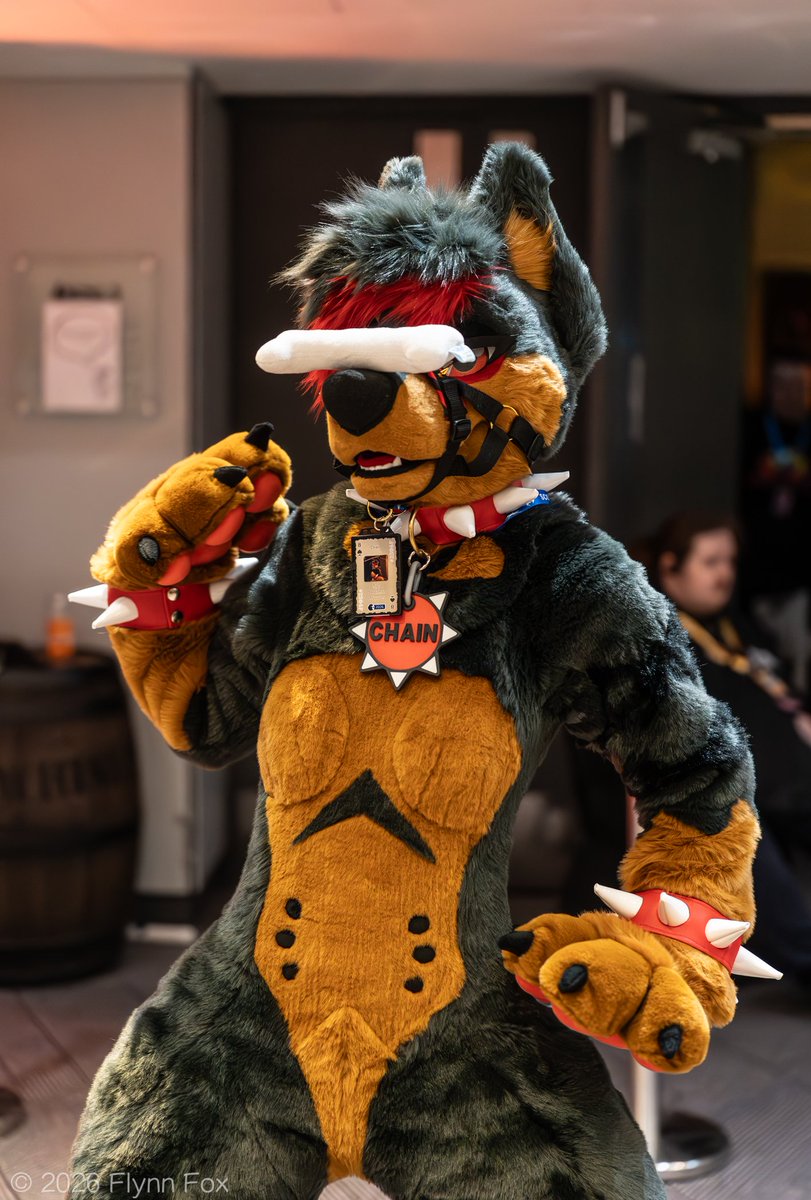 🖤Mutt🖤🔜CFZ tweet media