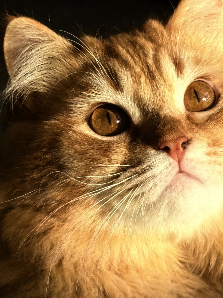 tati⁷⭐️ tweet media