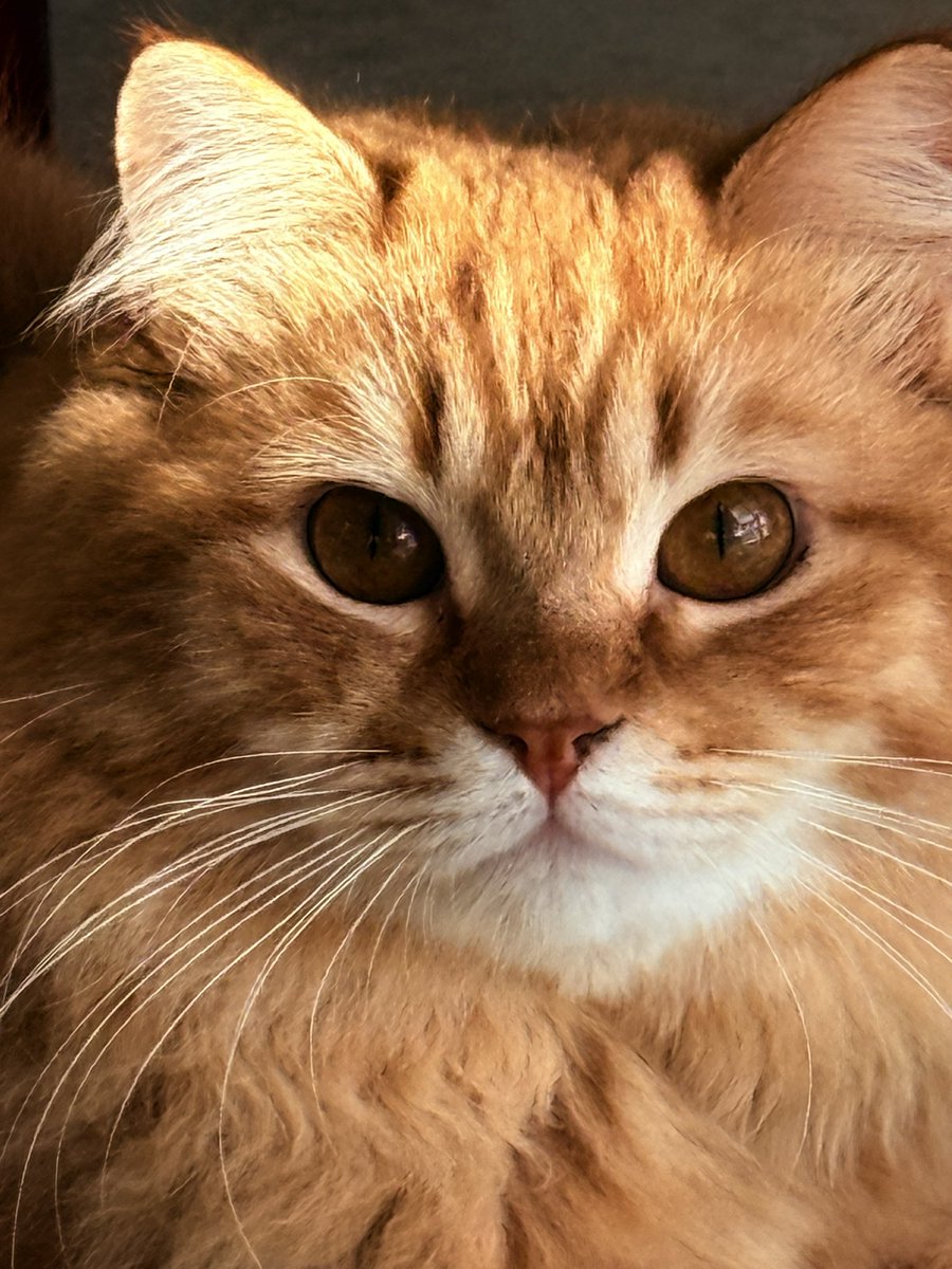 tati⁷⭐️ tweet media