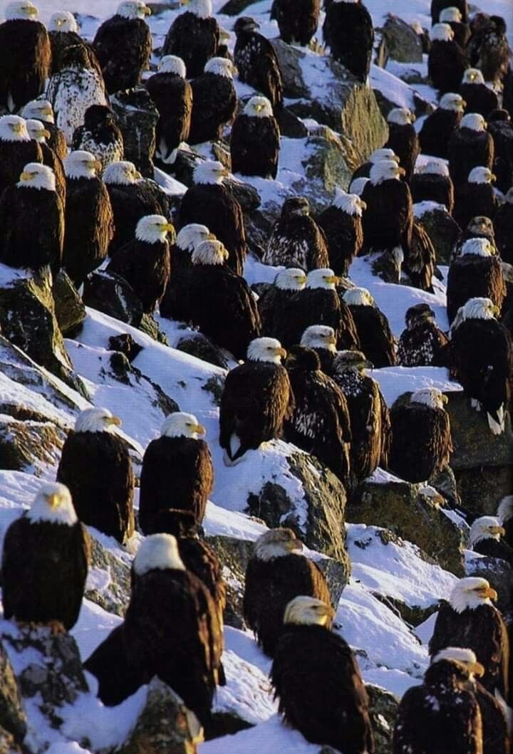 Șanya11🗿 tweet media