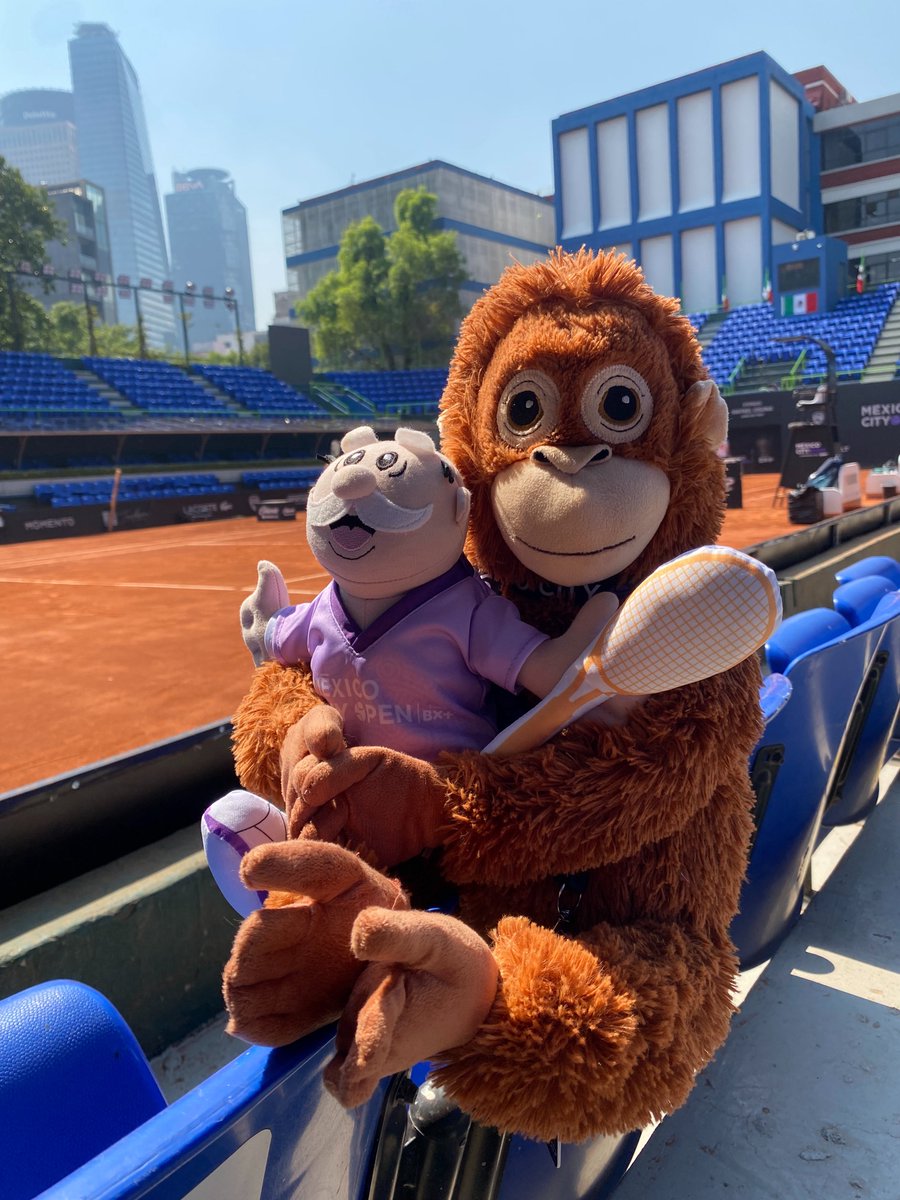 México City Open tweet media