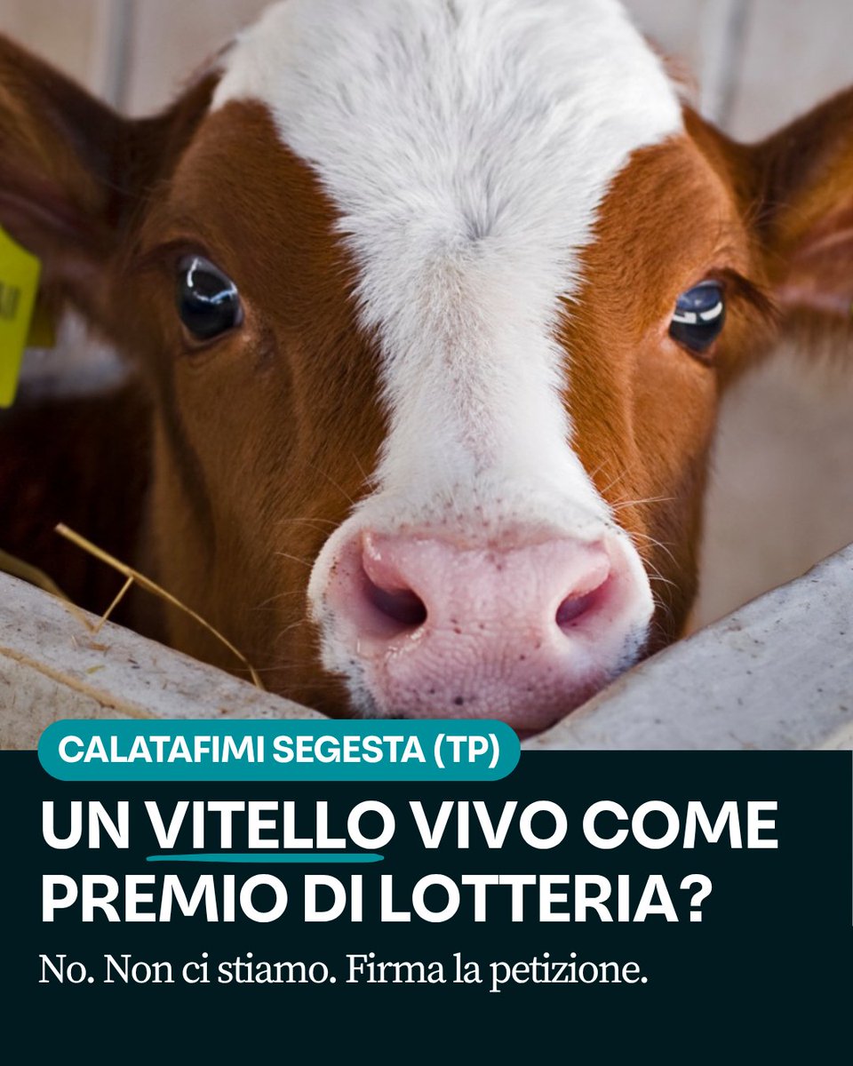 LNDC Animal Protection tweet media