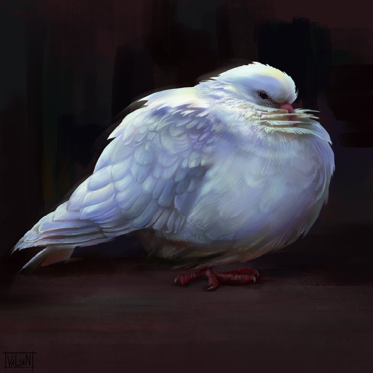 Valya_Narts tweet media