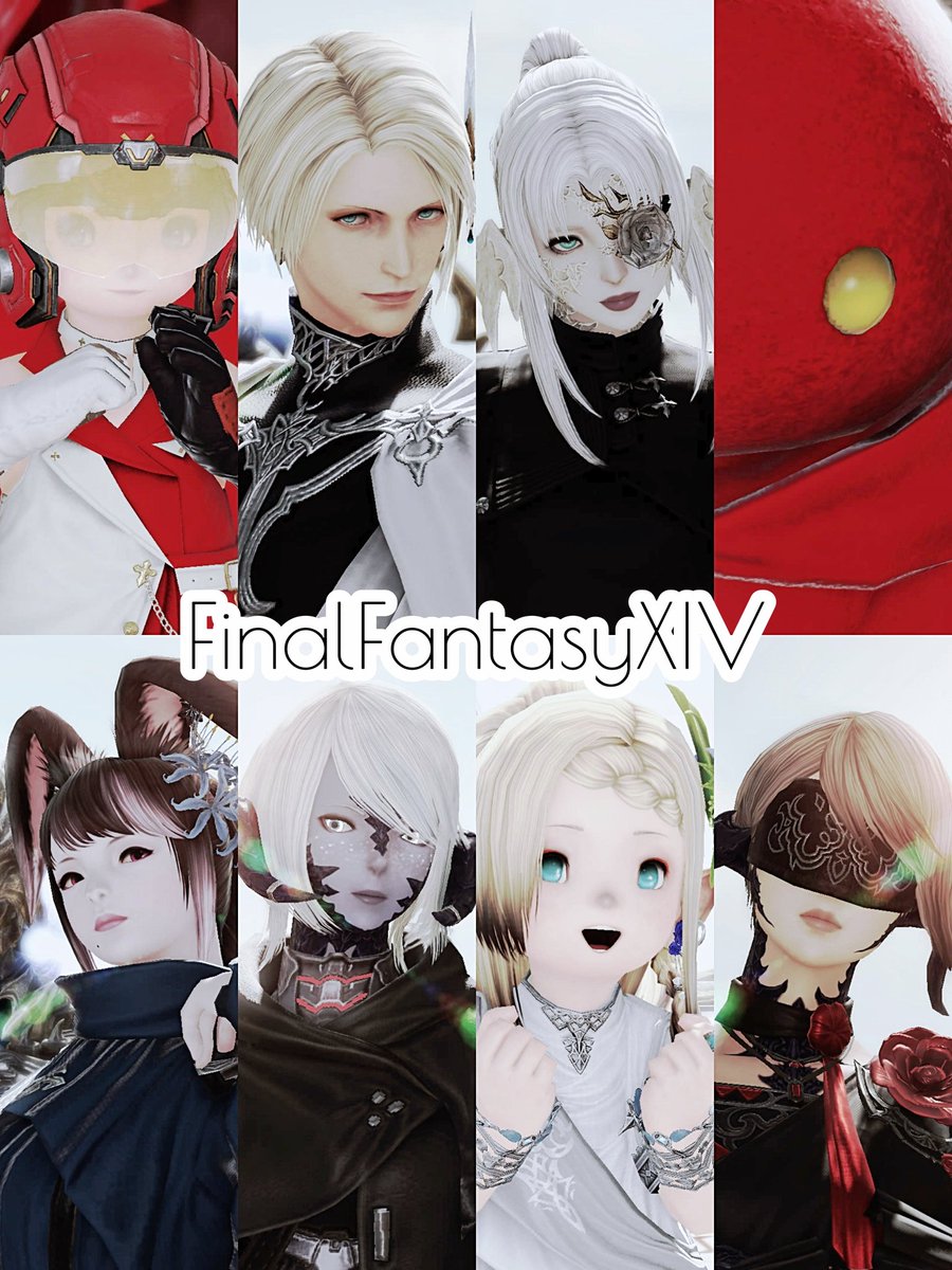 紅茶/ʸᵃⁿ tweet media