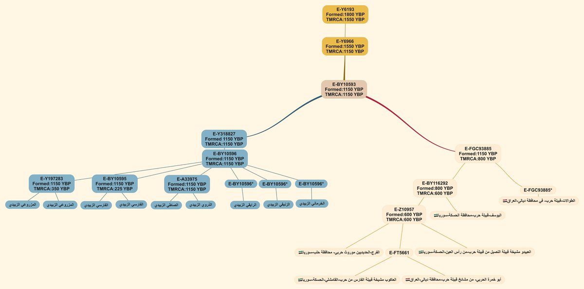 مشروع قبيلة حرب الجيني tweet media