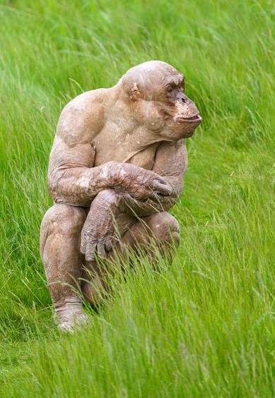 Freudian Nipslip tweet media