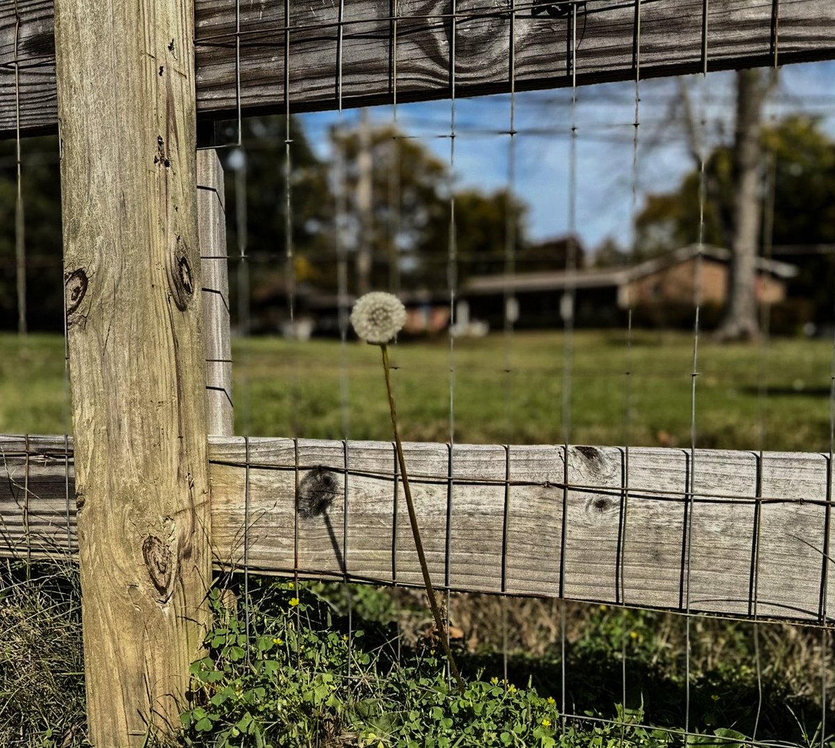 joannpip's tweet image. #FencePostFriday #FlashbackFriday 

ℳ𝒶𝓀𝑒 𝒶 𝓌𝒾𝓈𝒽 🪄