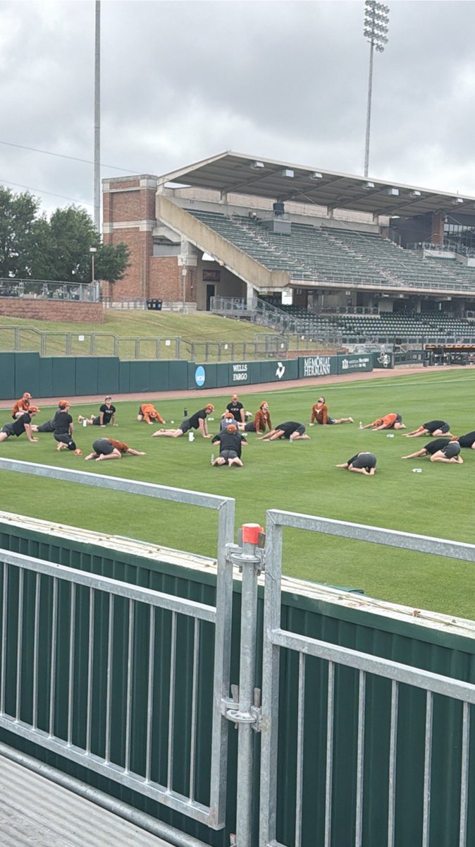 Section 203 Raggies tweet media