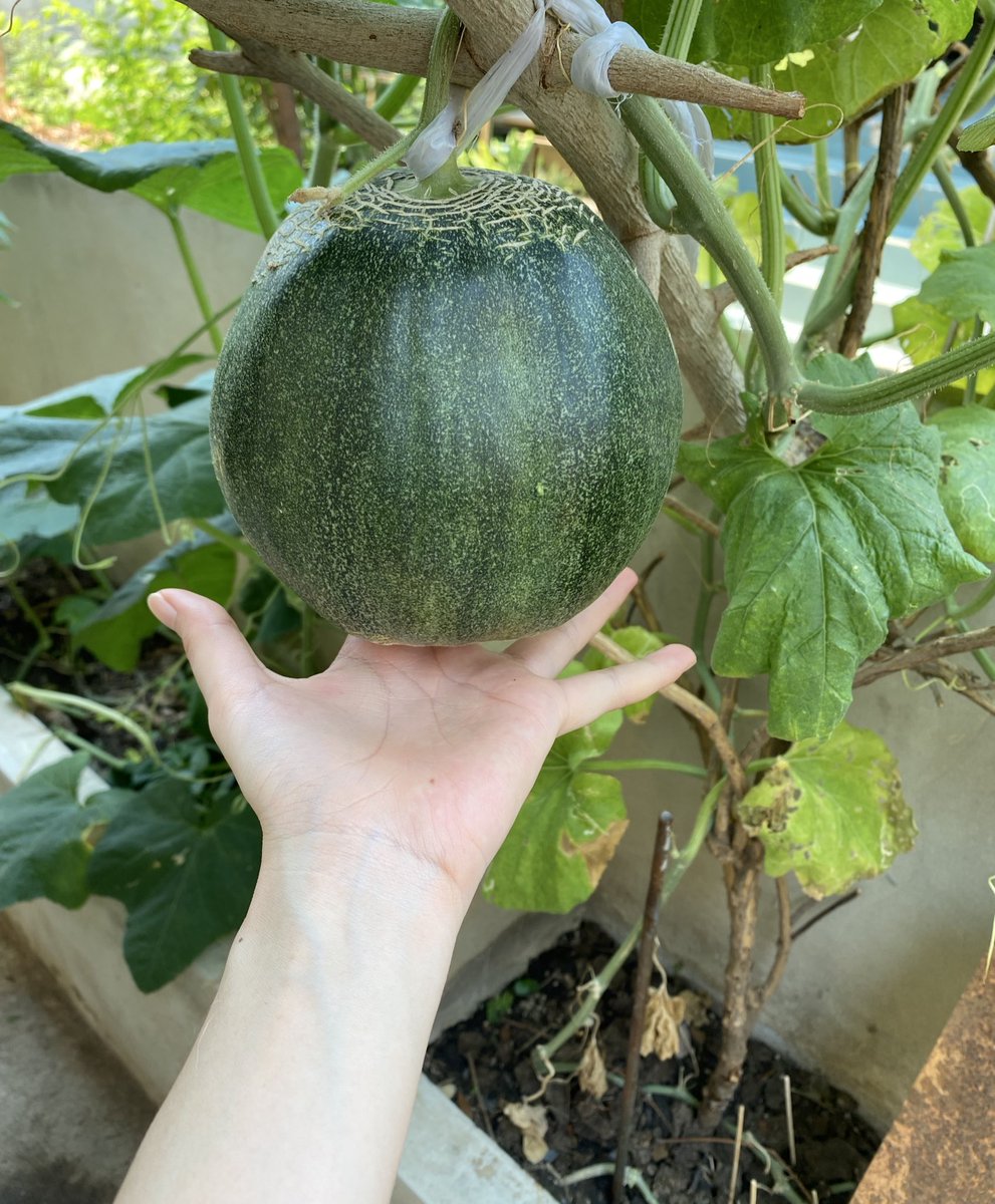 Temiu ⪩. .⪨ tweet media