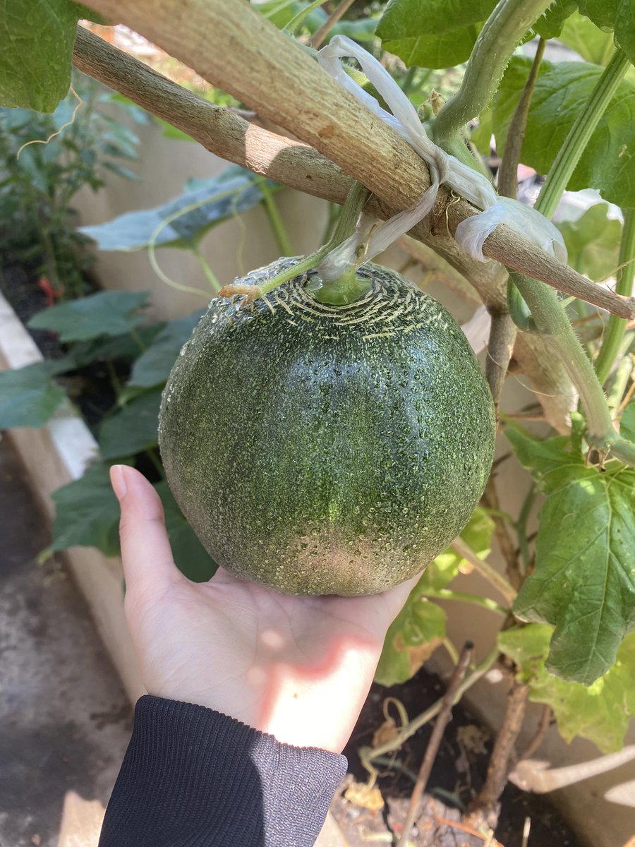 Temiu ⪩. .⪨ tweet media