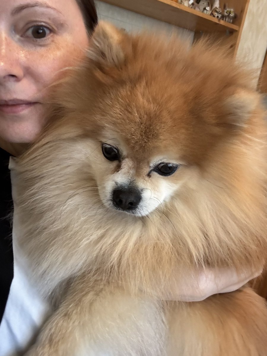 издательский дом «злая пизда» tweet media