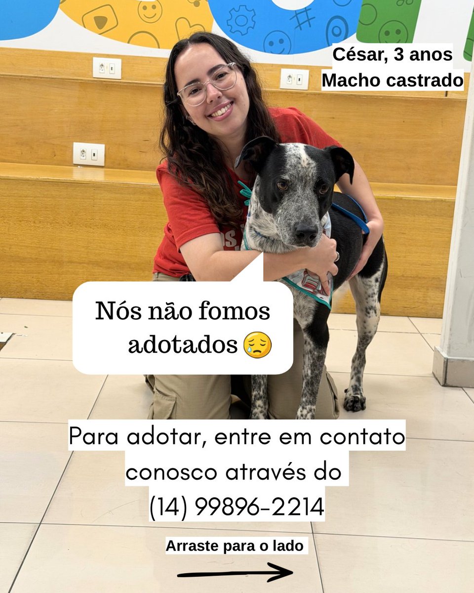 Beatriz Caroline tweet media