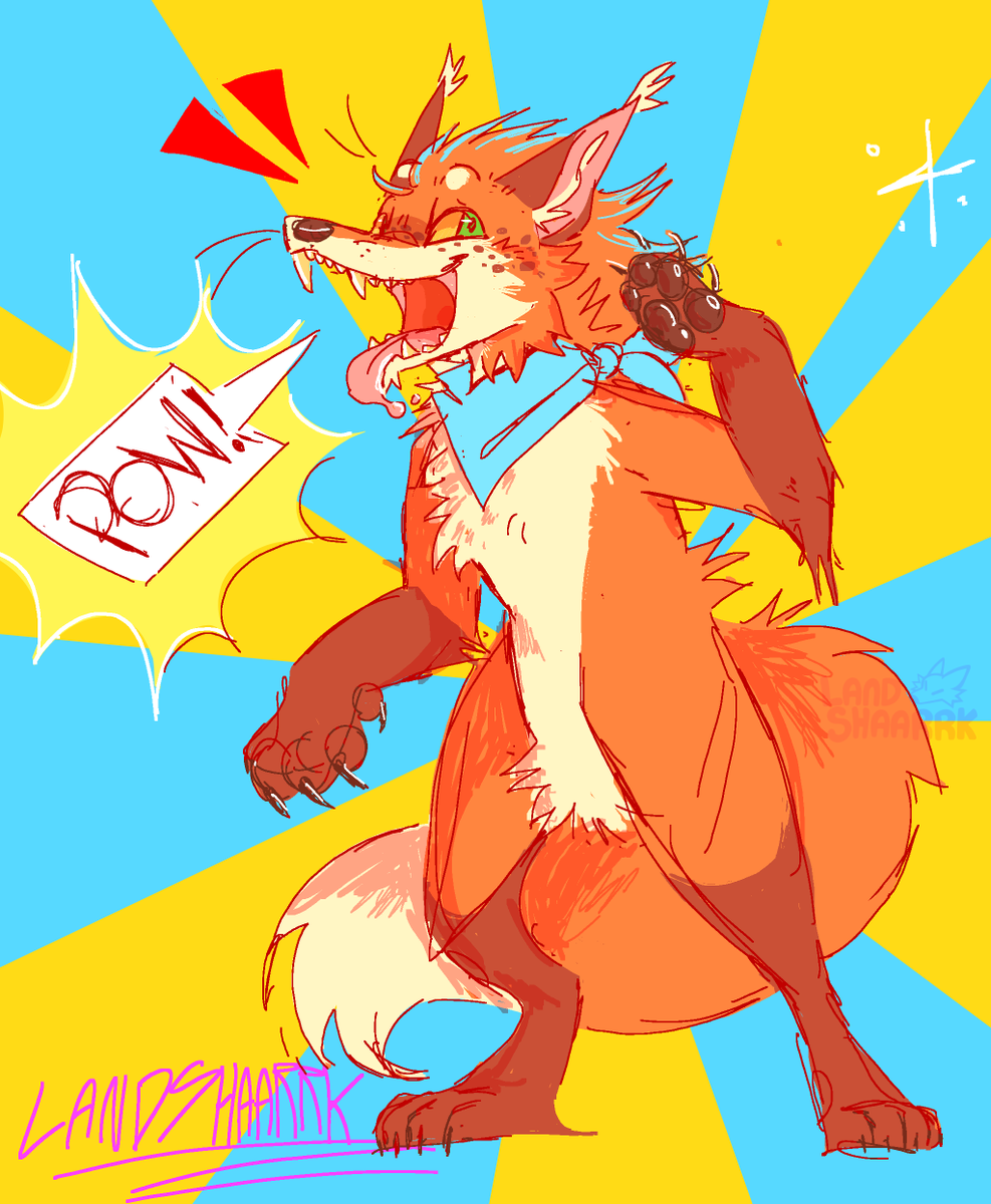 Luna the fox!! tweet media