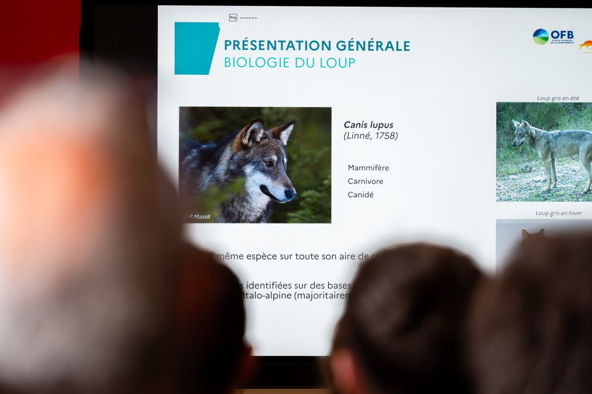 Préfète de région Auvergne-Rhône-Alpes et du Rhône tweet media