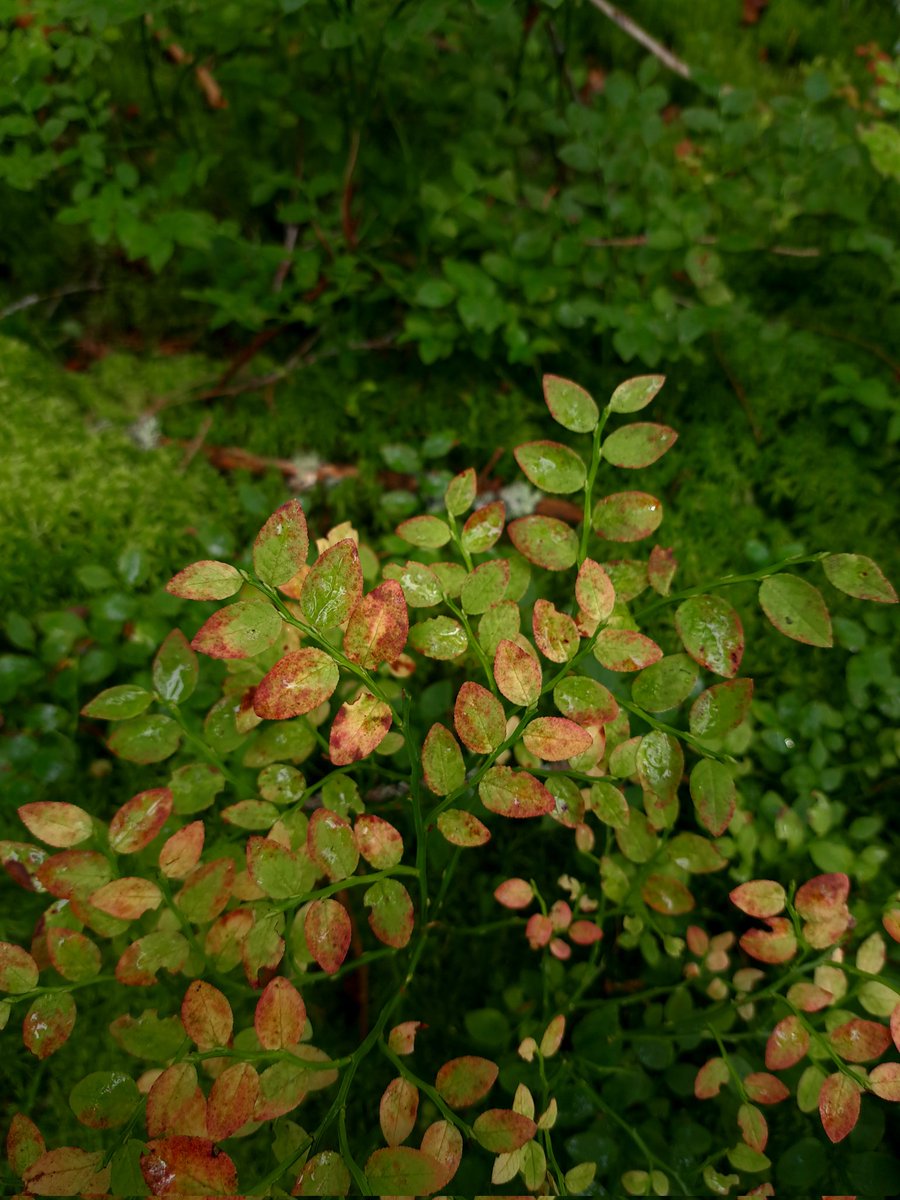 полночь🌙 tweet media