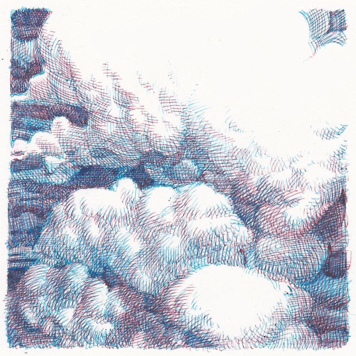 Conor Nolan tweet media