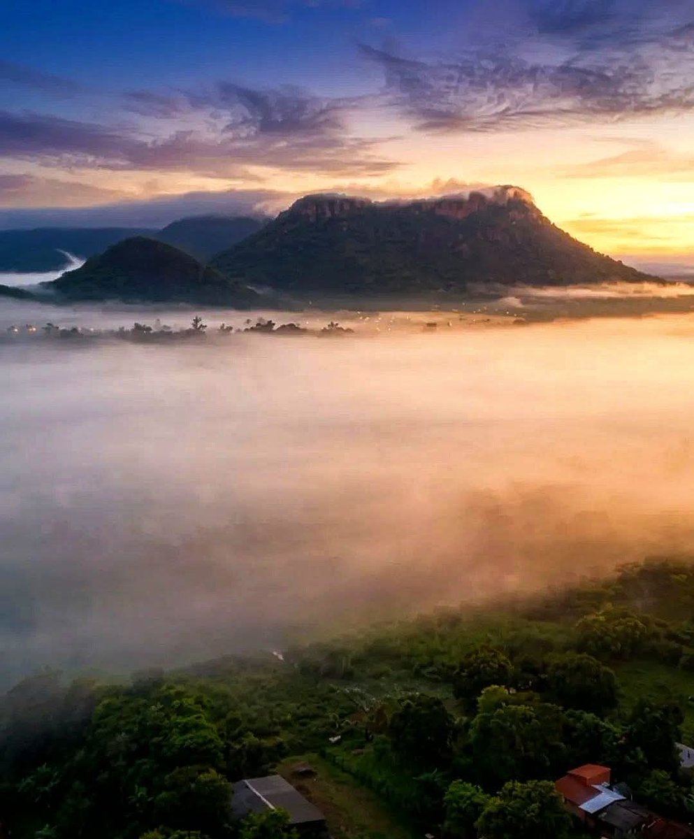 paraguayenjoyer 🌴☀️🥩 tweet media