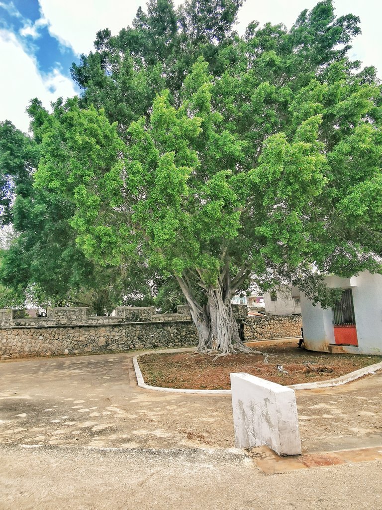 BerthaParedesMedina tweet media