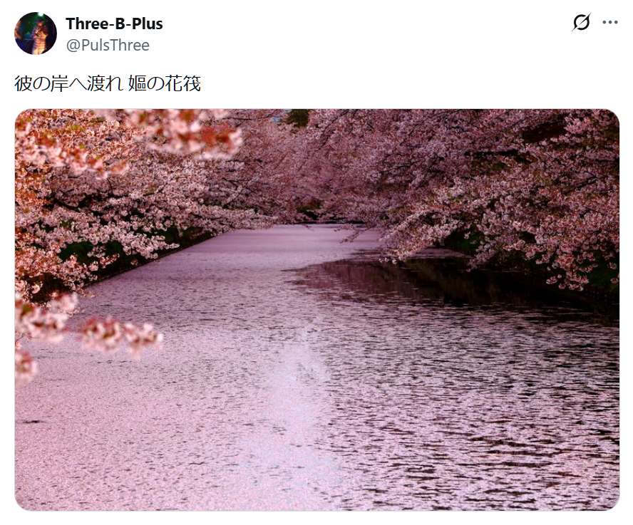 Three-B-Plus tweet media