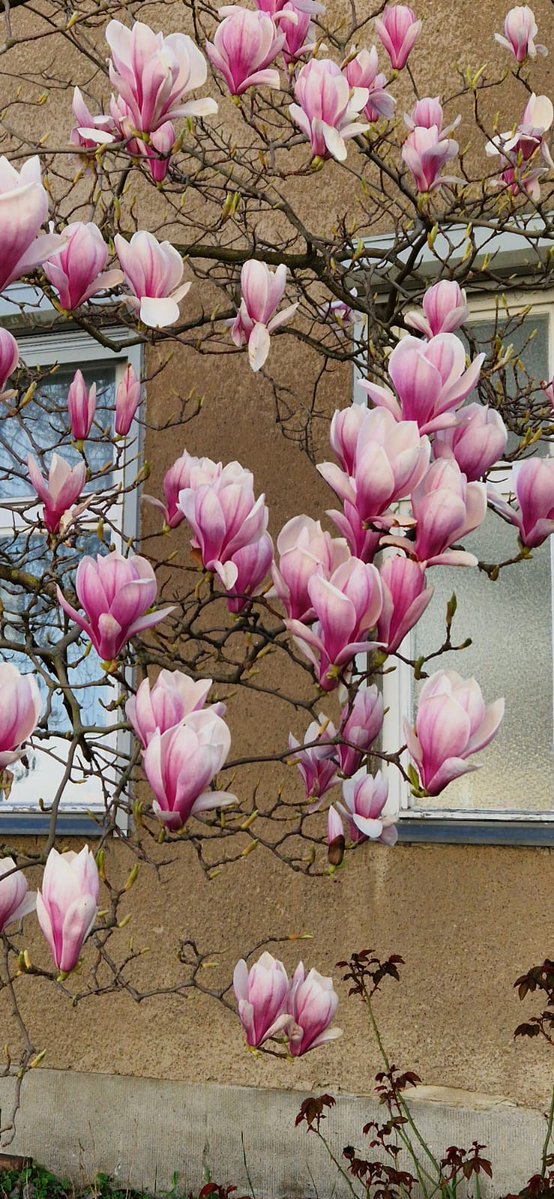 ivida 🐀, 🐈‍⬛ 🌻 🇺🇦 tweet media