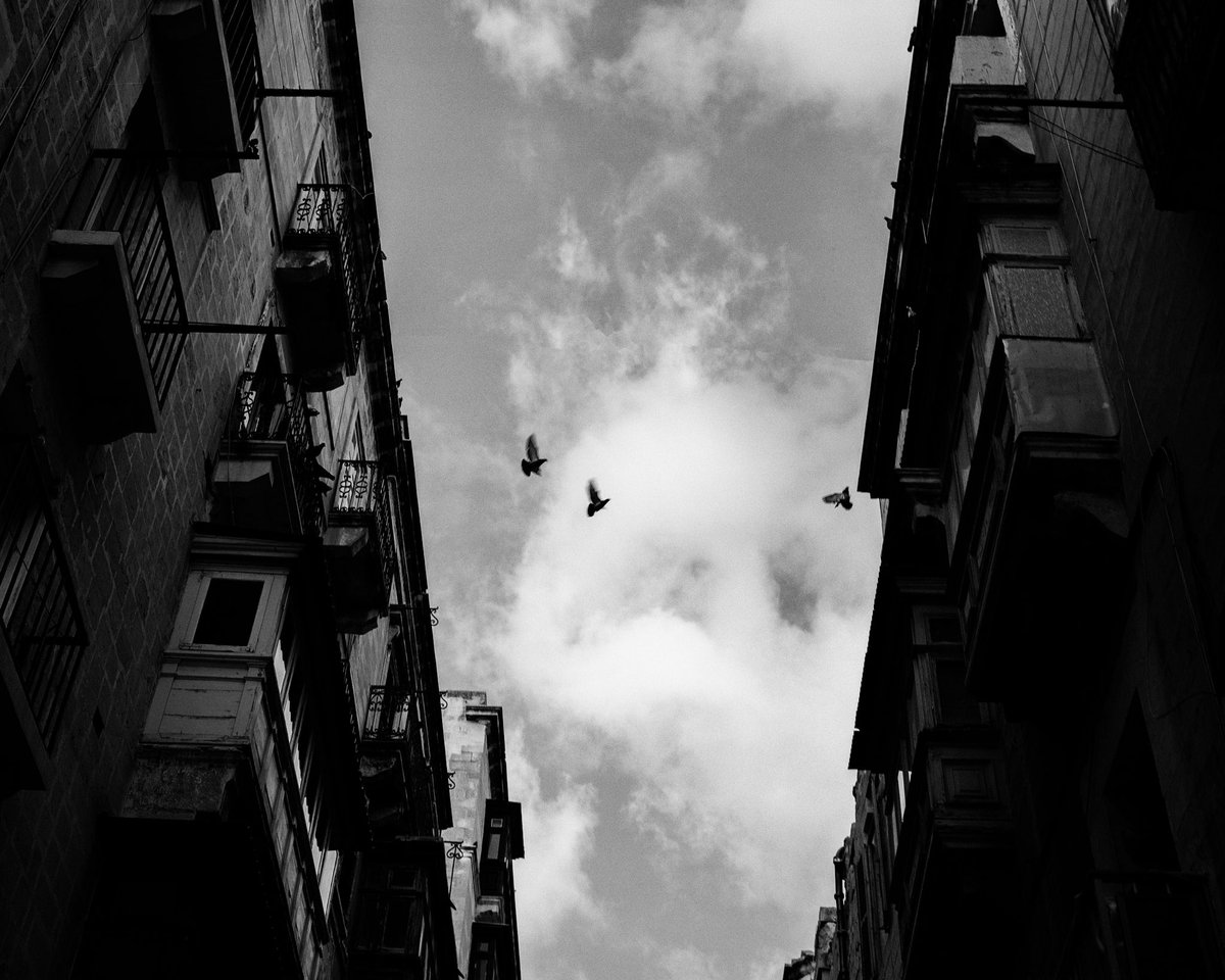 Mike Gray tweet media