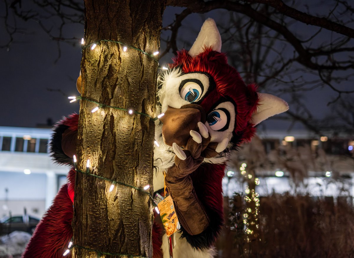 Ventura The Osprey tweet media