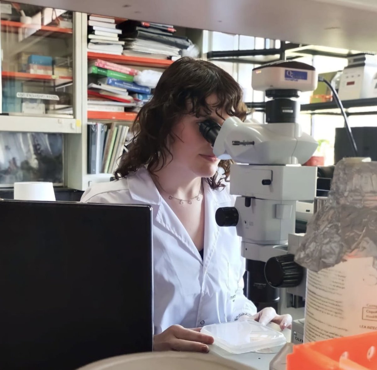 Mónica Litza tweet media