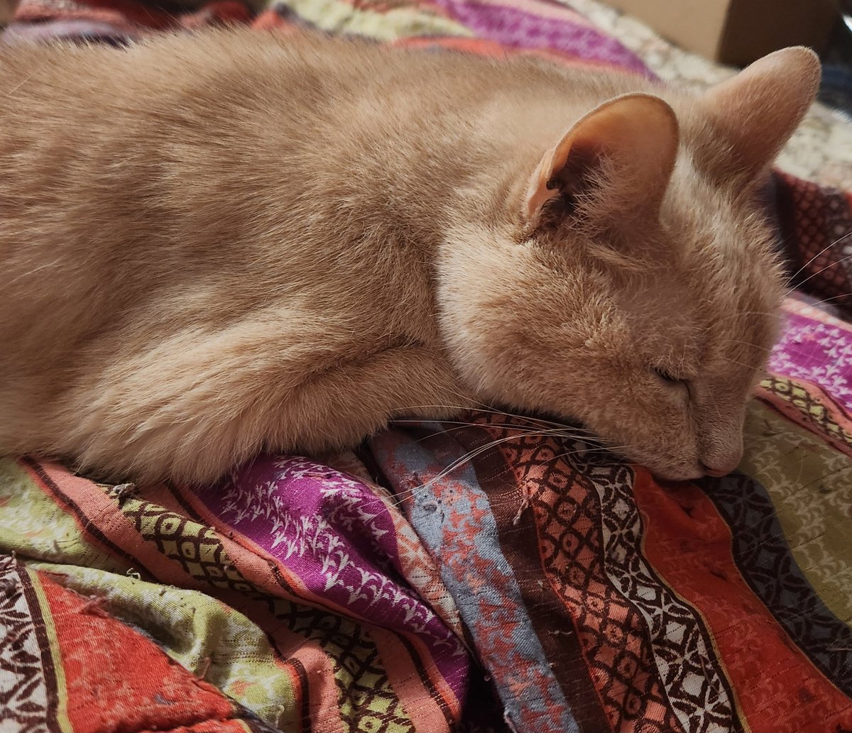 Damien Dread ⛓️🧷 tweet media