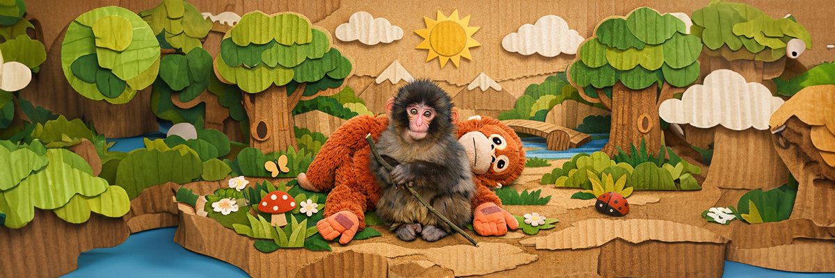 BlockBoss tweet media