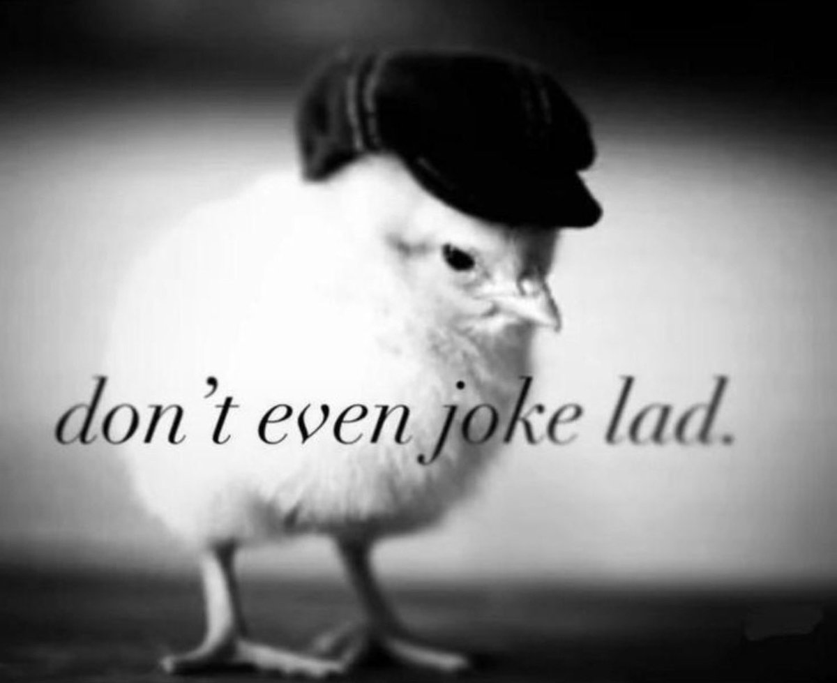 Second 🎲【It's a carnival!】 tweet media