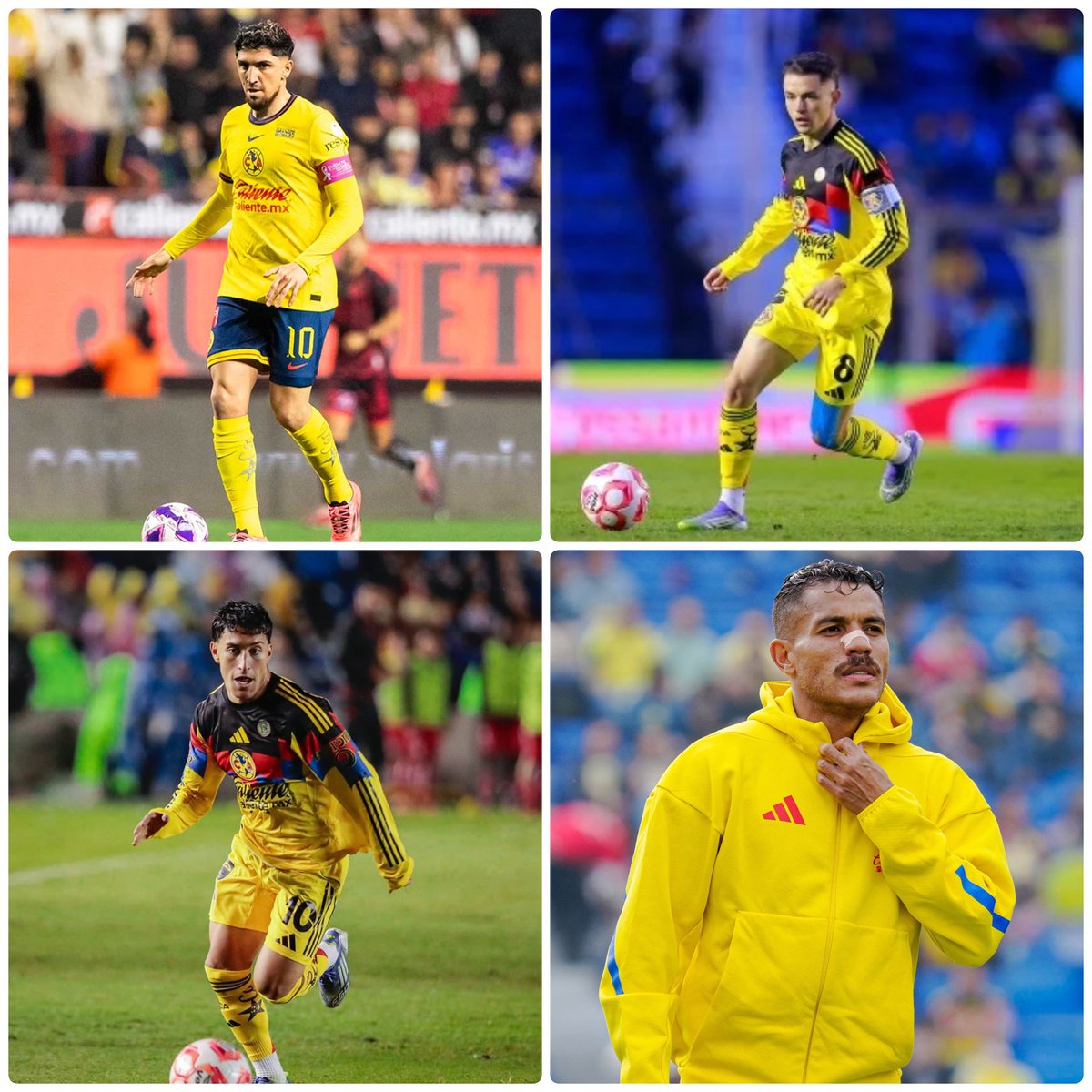 David S. tweet media