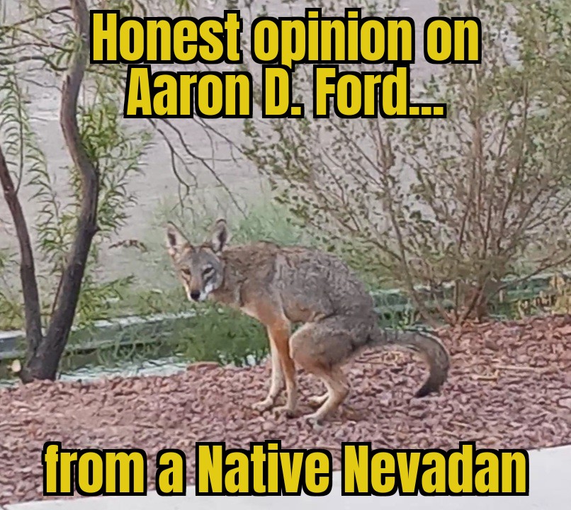 Gavin Quantrill tweet media