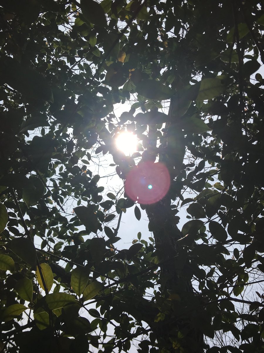 控制瘾（碎碎念版） tweet media