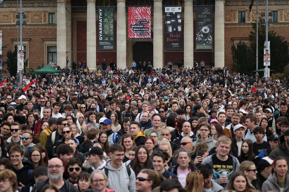 Tibor M. Kalman tweet media