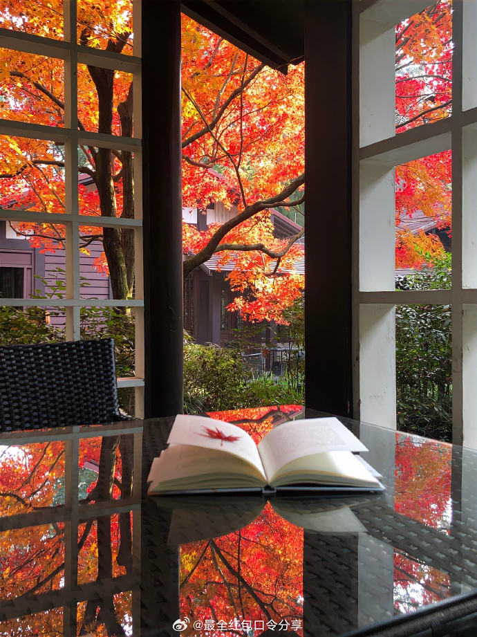 Jennifer Gardner tweet media