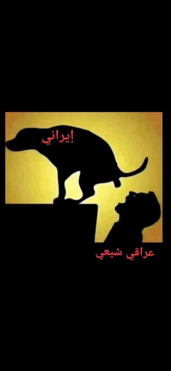 〽️DlMrQ8〽️ tweet media
