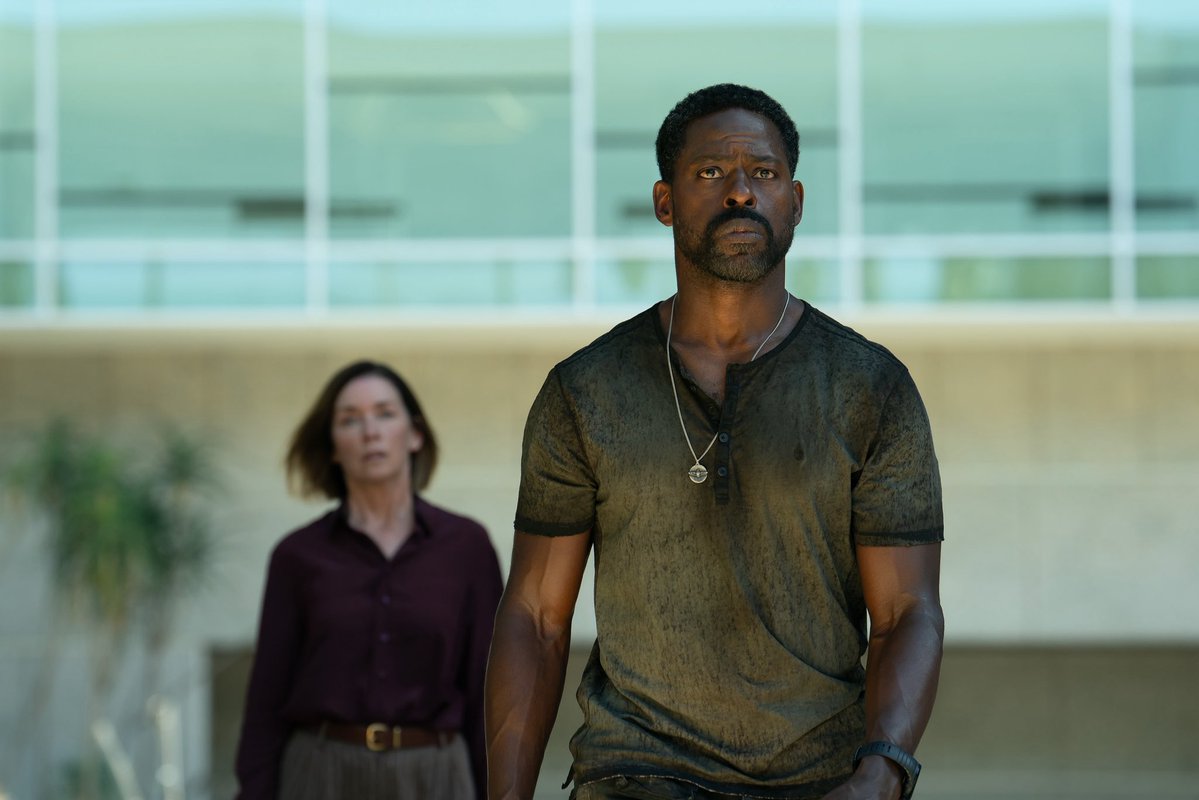 Paradise tweet media