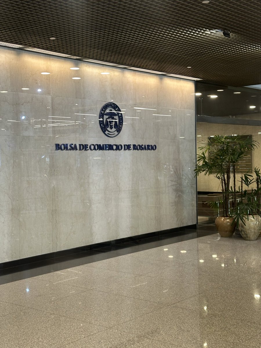 Ivo Herrmann Sansovic tweet media