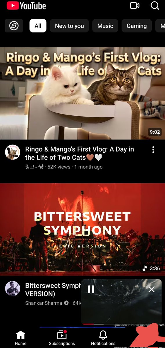 Pubg Carporation tweet media