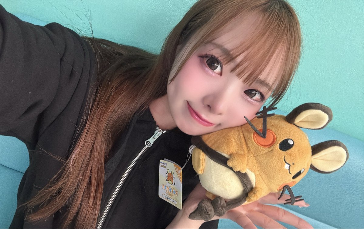 まゆう@みけねこカフェ秋葉原2nd tweet media