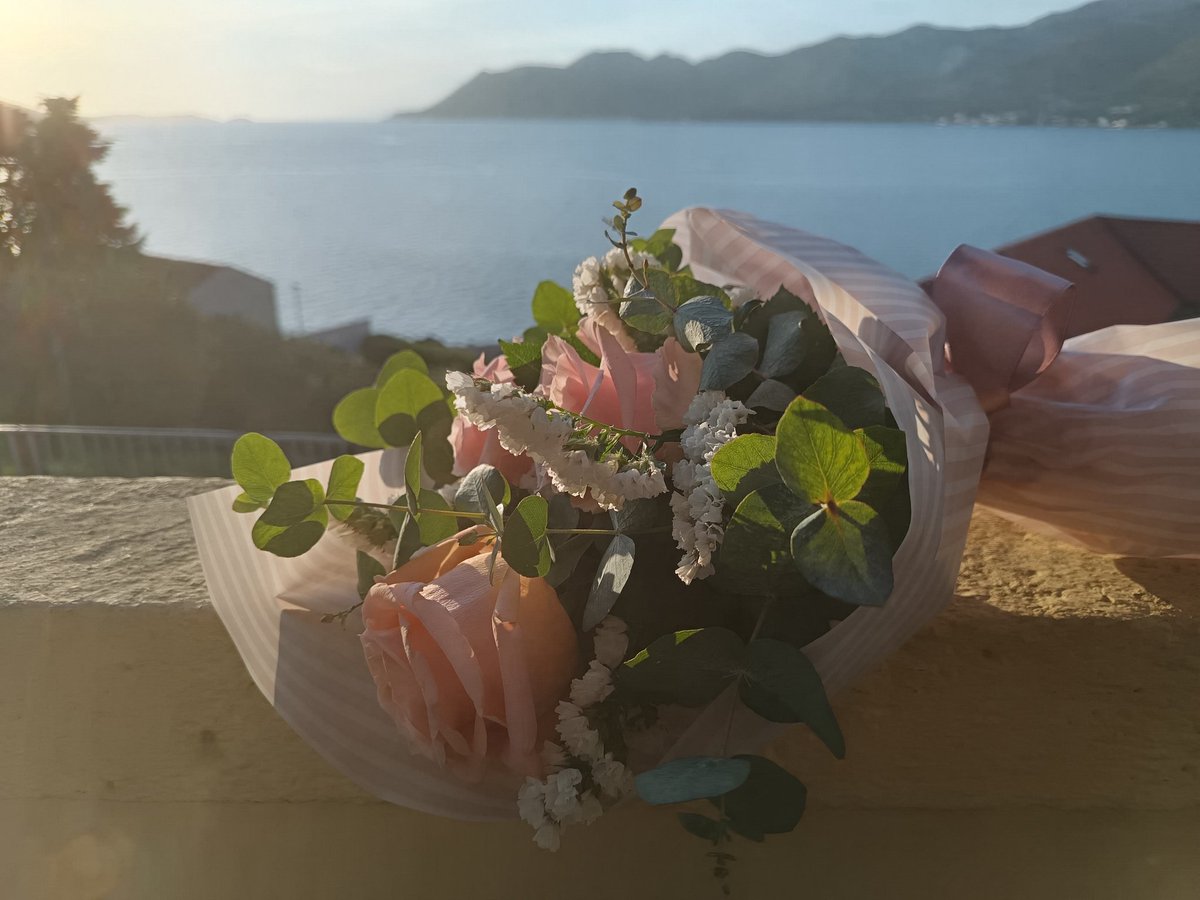 Plebeius tweet media