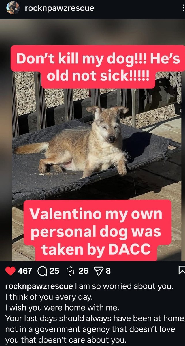 PhaedraXTeddy's tweet image. I believe the kidnapping of 238 happy healthy rescued dogs, a goat, and a duck in #California was a personal vendetta against animal rescuer ChrisD'Anda by someone who conspired with hateful neighbors to get these dogs taken from their sanctuary and put in LADogpounds, which