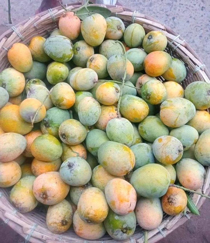 RashmiPariHomeKitchen tweet media